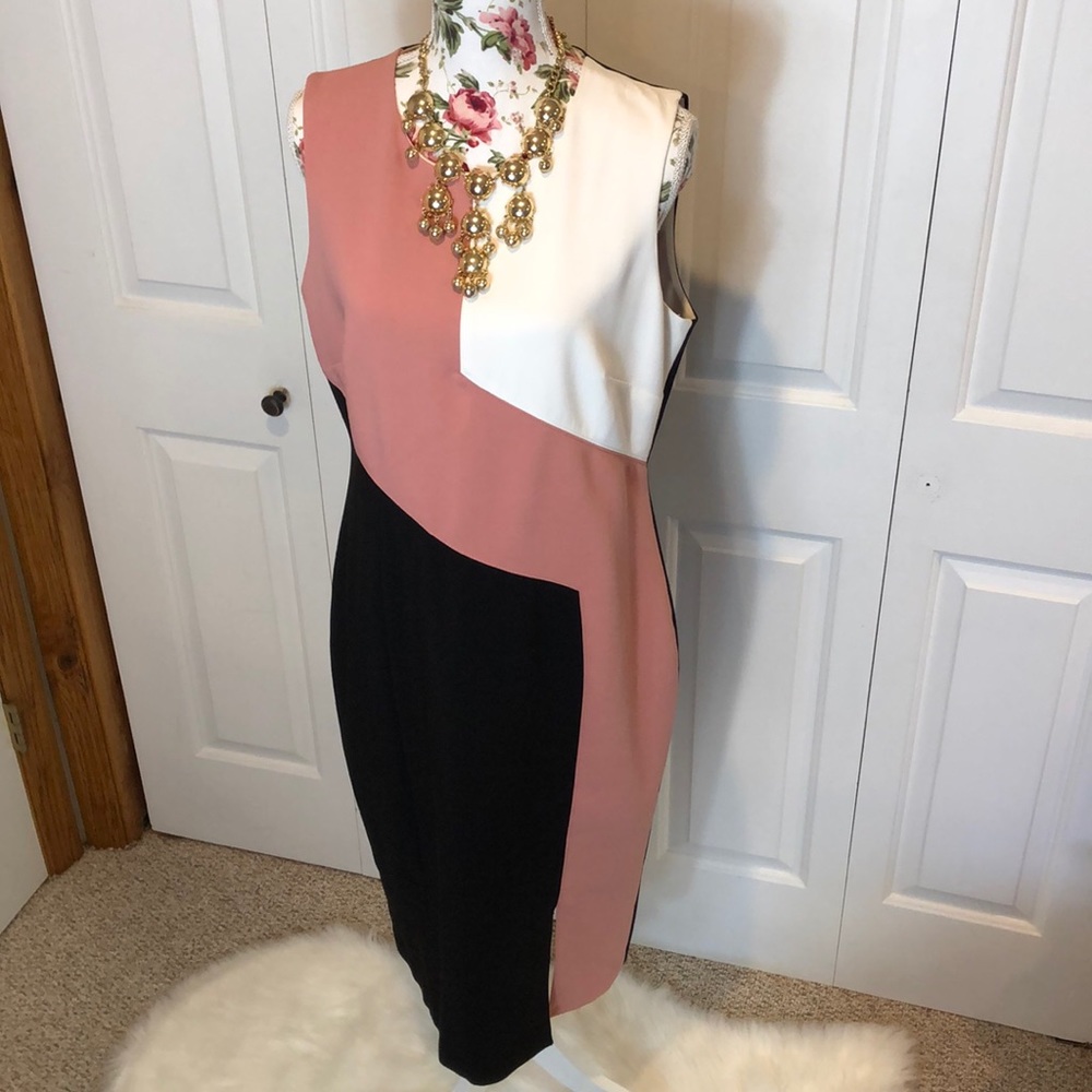 White House Black Market Stunning Dress